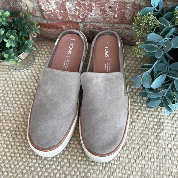 Beautiful Toms suede shoes size 11 - Picture 4 of 8
